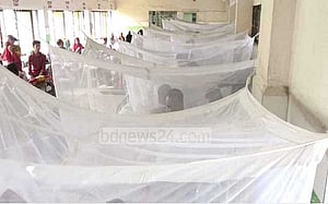 Is Dhaka’s monsoon causing dengue cases to surge?