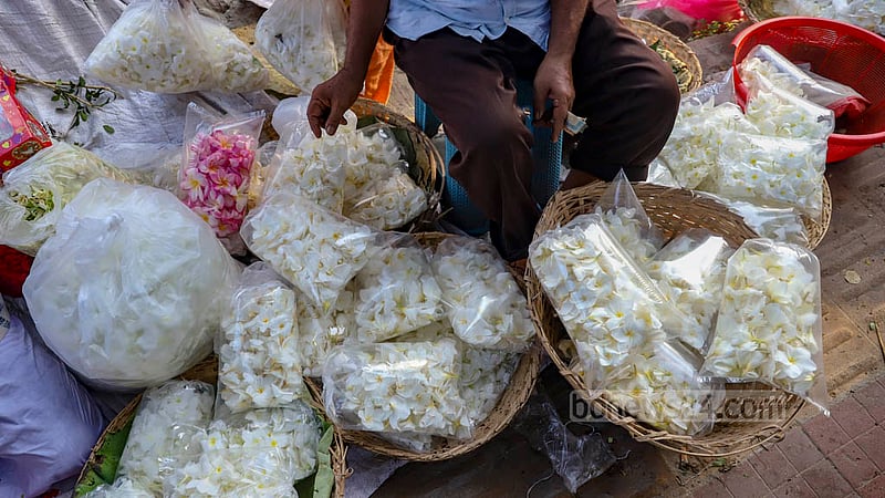 Traders were selling a bag of 120 white frangipanis or Shada Kath Golap at Tk 120 at the morning wholesale flower market in Dhaka’s Shahbagh on Friday, Sept 2, 2022.