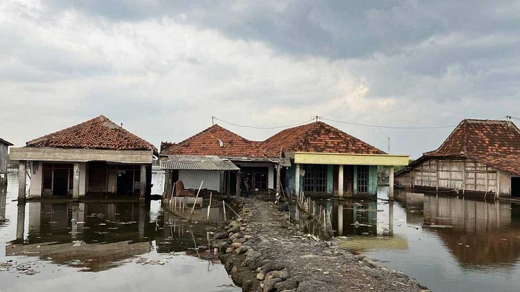 Sinking villages look to nature to help Indonesia restore mangroves