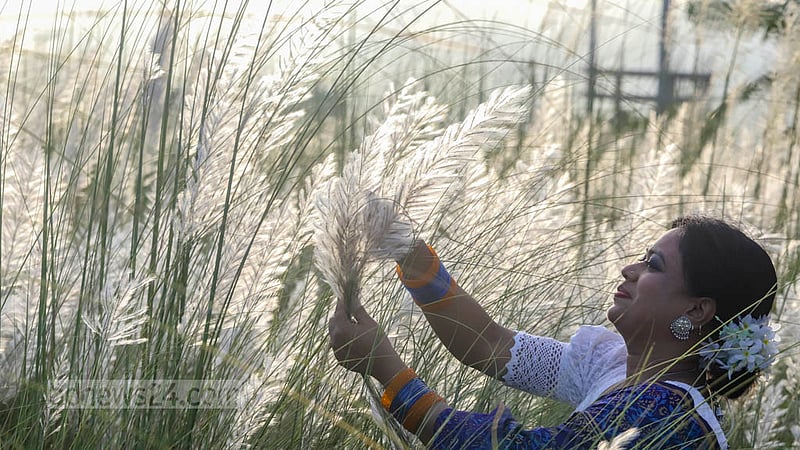 A woman picks the plumes of Kans grass at Dhaka's Aftabnagar.