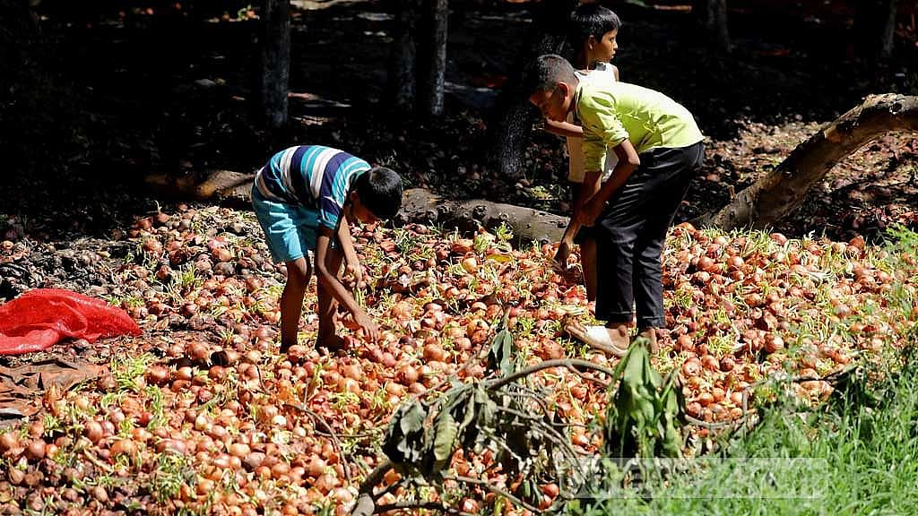 200 tonnes of TCB onions rot on 'delay' in release at Chattogram Port
