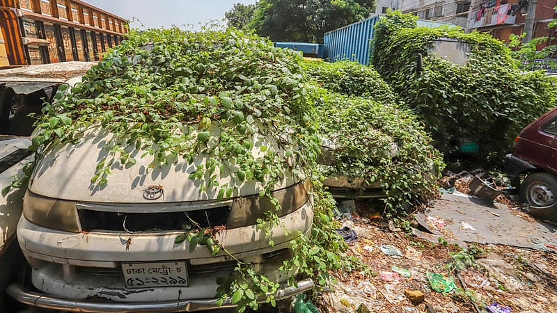 Vehicles impounded by Mirpur's Darus Salam Police Station are covered with foliage after lying in the Golartek playground for a long time.