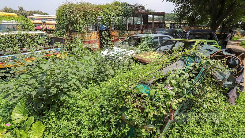 Vehicles impounded by Mirpur's Darus Salam Police Station are covered with foliage after lying in the Golartek playground for a long time.