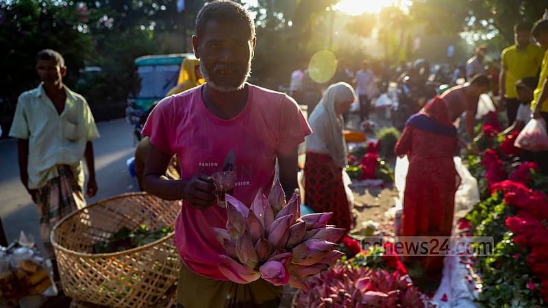 The wholesale price of 20 lotuses is fixed at Tk 50 at Shahbagh flower market in Dhaka. The price goes up to Tk 120 depending on the quality of the flower.
