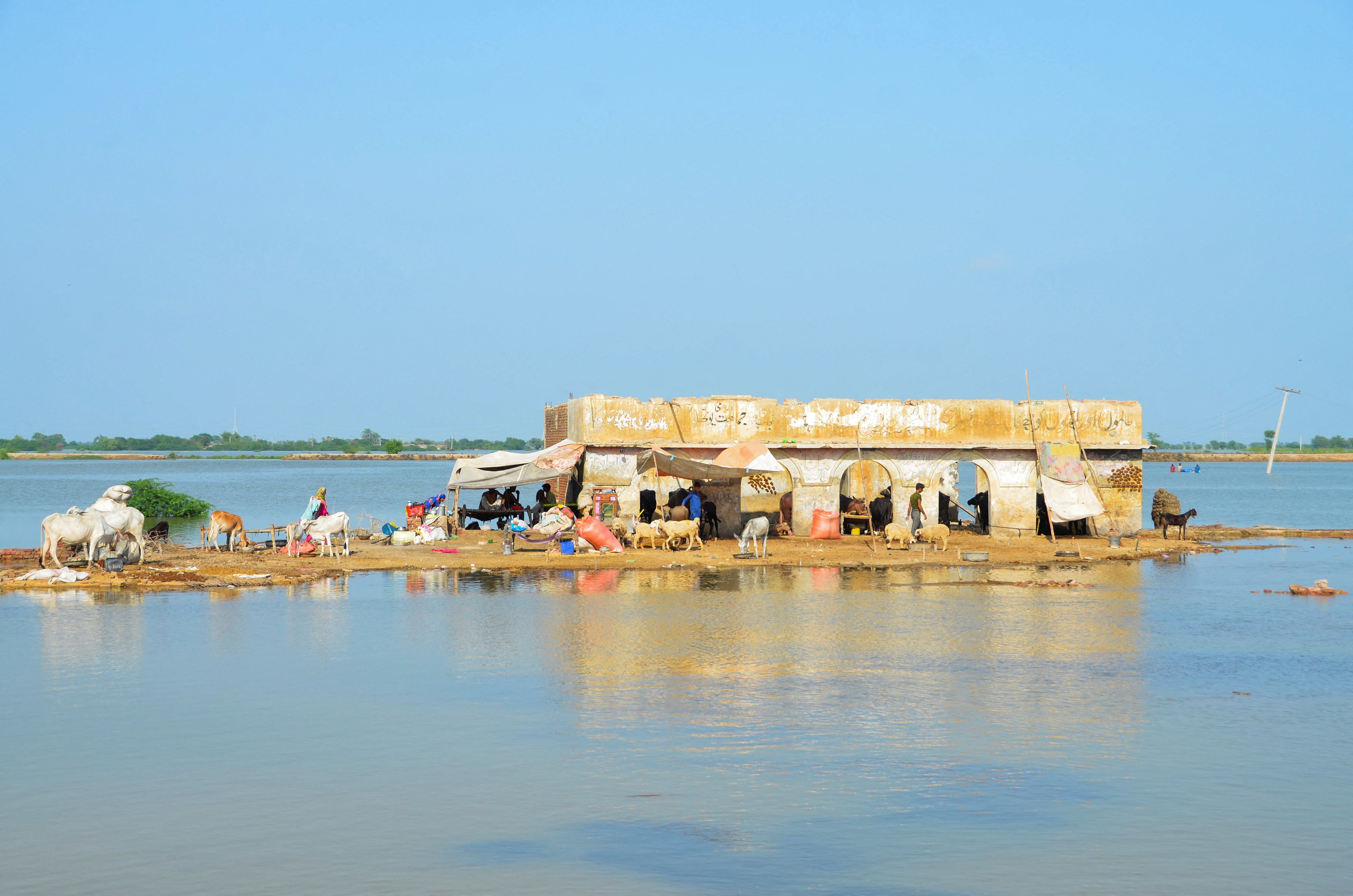 Aid groups warn of growing plight in flood-hit Pakistan