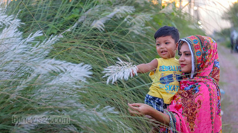 A child and his mother come to see the plumes of plumes of Kans grass in Dhaka's Aftabnagar.