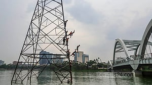 Daredevil Olympic divers in the making?
