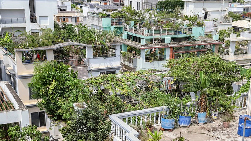 Green is available on the rooftops of almost all buildings in Dhaka’s Mirpur DOHS as rooftop gardening becomes popular in the city.