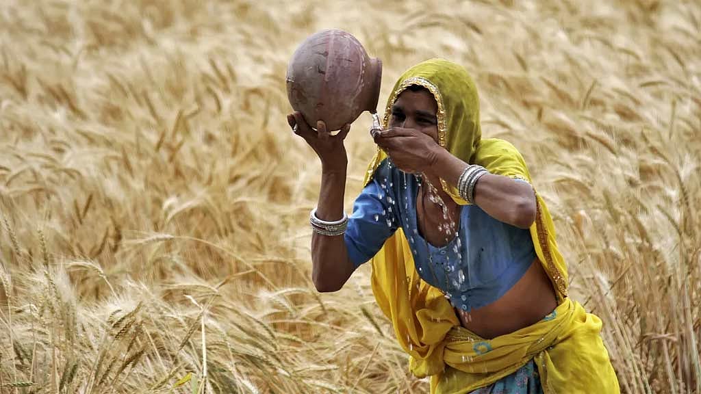 Women on India's farms left in limbo as climate shocks cost jobs