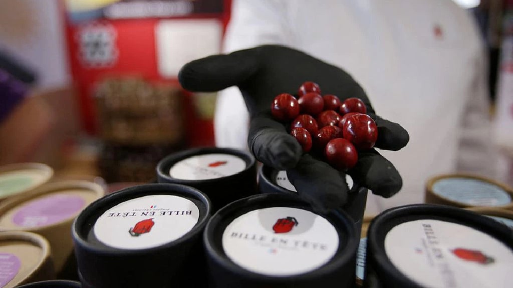 The kick comes at the end - world's hottest chili flavours French chocolates
