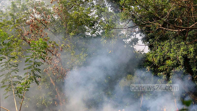 Smoke from waste burning in Dhaka’s Suhrawardy Udyan drives birds off the trees and prevents them from staying in their homes on Oct 31, 2022.