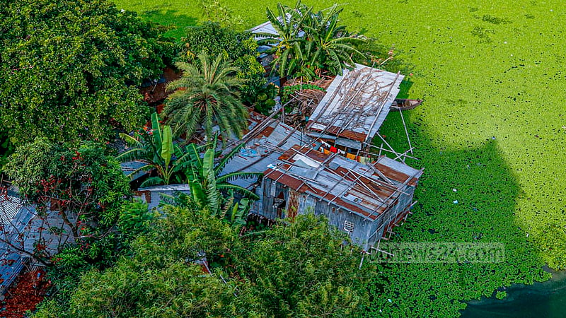 Encroachers have built tin shacks on the illegally filled up banks of the lake at Chowdhurypara in Dhaka’s Khilgaon.