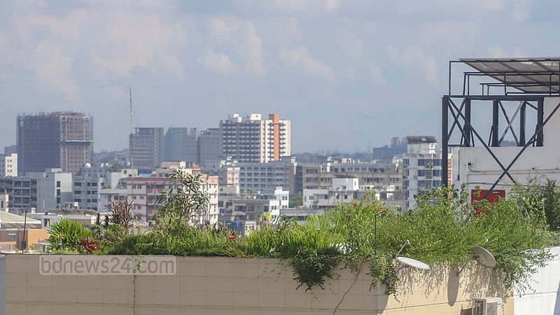 A view of a rooftop garden in Dhaka’s Dhanmondi.