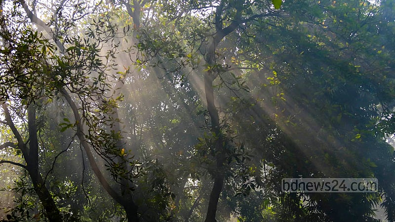 A thick layer of fog-like smoke from burning waste hangs over Suhrawardy Udyan in Dhaka on Oct 30, 2022.