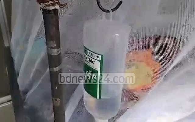 Dengue enshrouds almost all of Bangladesh as cases, deaths surge