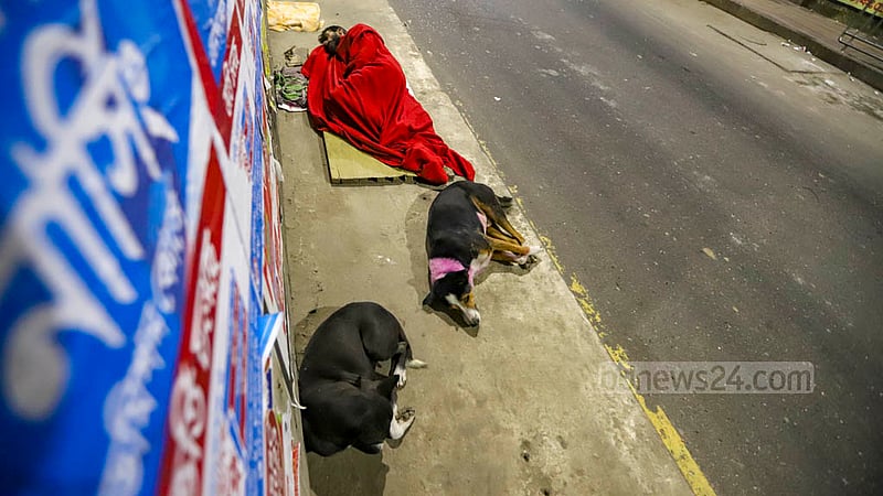 A homeless person covering himself with a blanket against the cold and two dogs sleep on the footpath under the Mouchak Flyover. Photo taken on Monday, Dec 5, 2022.Photo: Mahmud Zaman Ovi