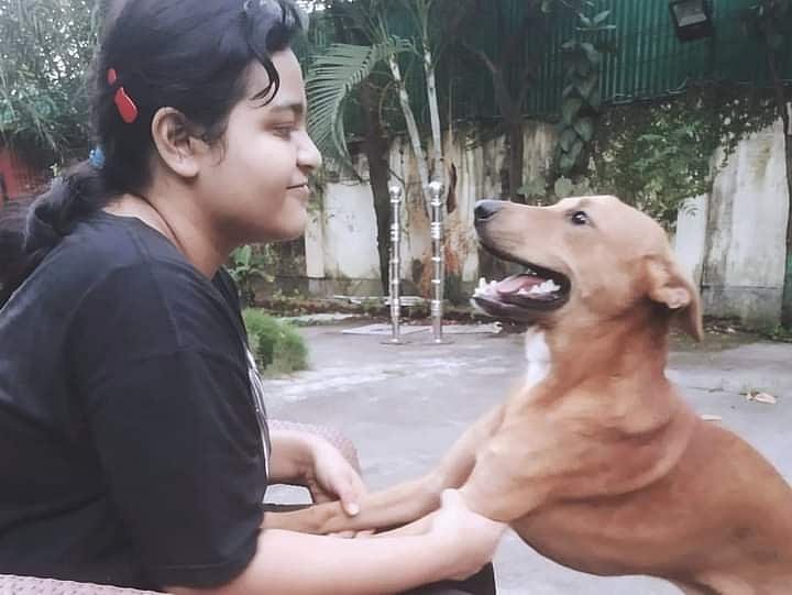Why we should be kind to animals