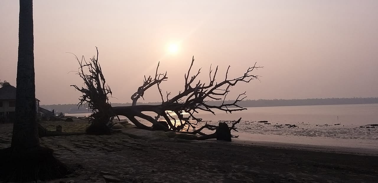Dublar Char: An island where fishermen struggle alone