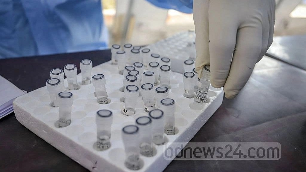 Bangladesh reports 11 COVID cases in a day with no deaths