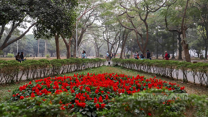 Ramna Park in Dhaka has many small beds of flowers that have added to the beauty of the place. Photo: Mahmud Zaman Ovi