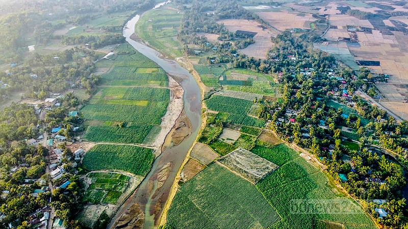 Tobacco fields line the banks of the Maini river in Khagrachhari's Dighinala. Tobacco has been cultivated in the district for more than a decade.