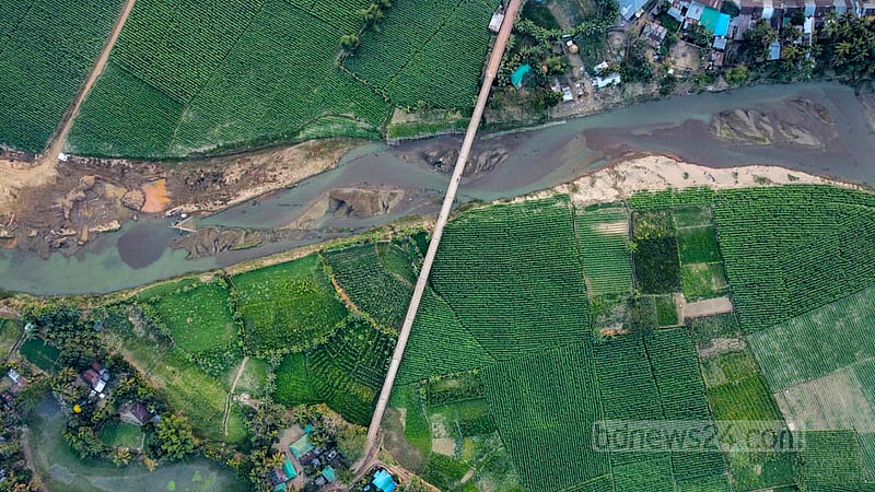 Tobacco fields line the banks of the Maini river in Khagrachhari's Dighinala. Tobacco has been cultivated in the district for more than a decade. Photo: Samir Mallik