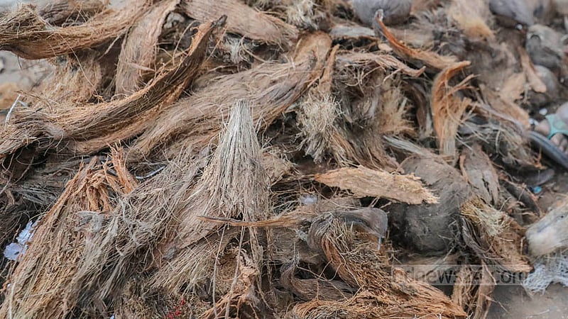 Many companies use coconut shell powder as a raw material for making mosquito repellent coils. Workers were seen grinding coconut shells during a visit to a factory in Dhaka’s Shanir Akhra area. Photo: Asif Mahmud Ove