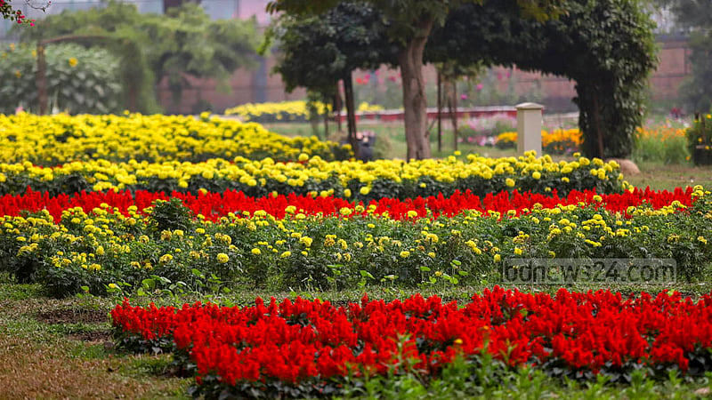 Colourful flowers bloom at Ramna Park in Dhaka. The authorities have set up fences to protect flower beds at Ramna Park in Dhaka. Photo: Mahmud Zaman Ovi