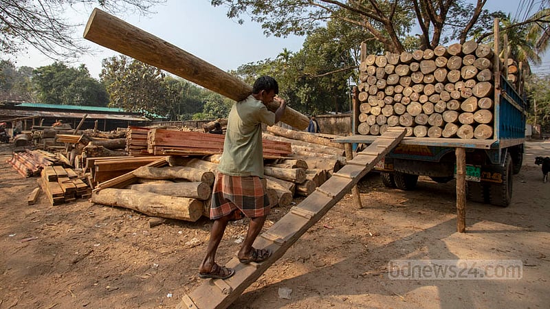 Trucks carry wood from the depot at Bandarban’s Ujani Para pier and transport it to different parts of the country. Photo: Asif Mahmud Ove
