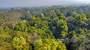 Pablakhali wildlife sanctuary
