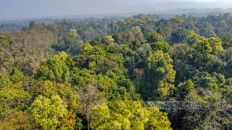 A game sanctuary is a safe habitat for wildlife where public access is restricted. Animals are allowed to grow here and their movements are monitored by forest officials. Photo: Samir Mallik