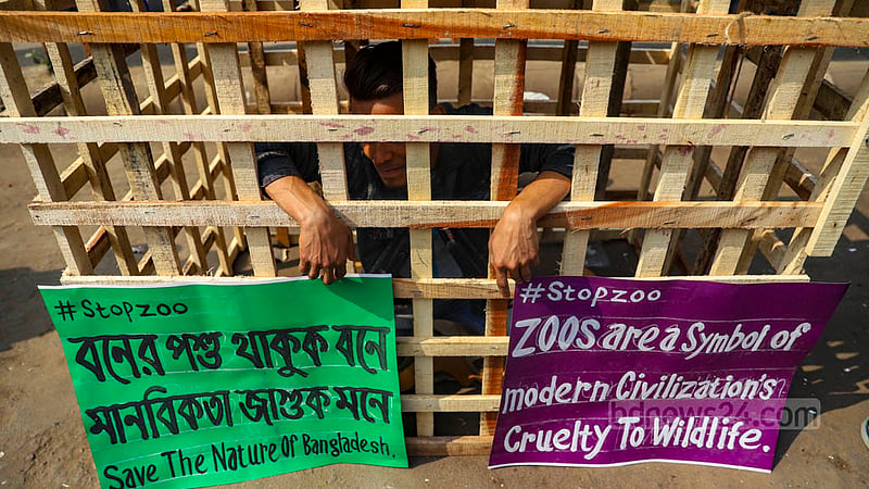 Feb 2: Save the Nature of Bangladesh, an organisation of animal lovers, organised a different kind of demonstration in Shahbagh, demanding an end to cruelty towards animals and their commercial use. 