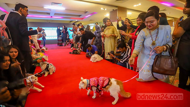 The first Cat Ramp Show at Jamuna Future Park in Dhaka was held on Friday, Feb 24, 2023. Photo: Asif Mahmud Ove