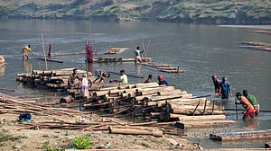 The wood of Bandarban