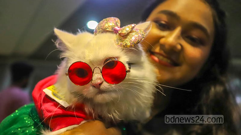 Feb 24: Animal lovers gather for a Cat Ramp Show in Dhaka’s Jamuna Future Park. 