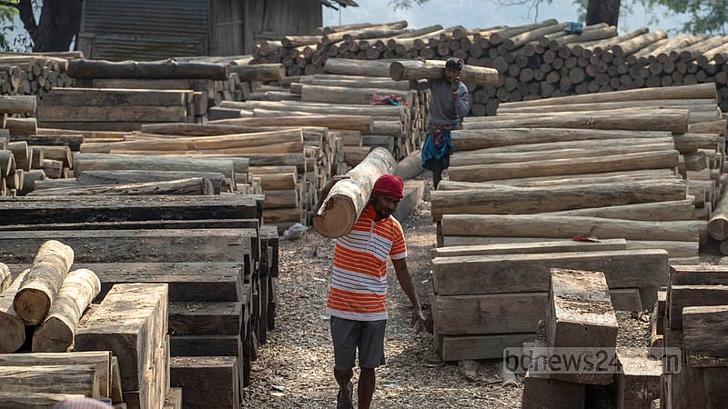 Workers load wood onto trucks headed to different parts of the country from the Ujani Para terminal in Bandarban. Photo: Asif Mahmud Ove