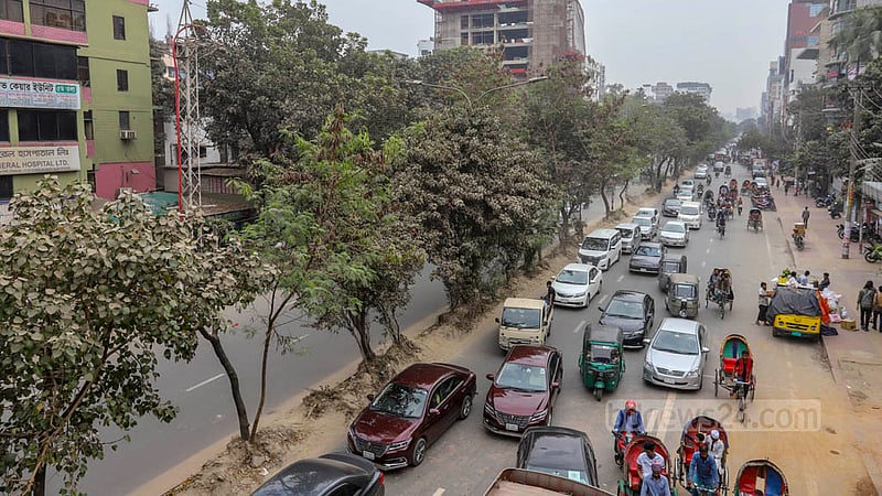 Part of Dhaka’s Saat Masjid Road still has green trees. Residents demand construction of new road dividers by keeping the trees. Photo: Asif Mahmud Ove