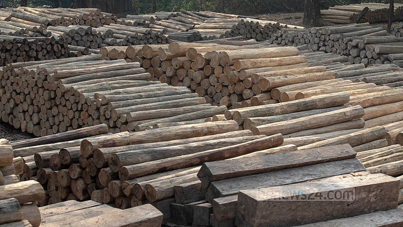 Wood is stacked in a depot at Bandarban’s Ujani Para pier along the Sangu River. Photo: Asif Mahmud Ove