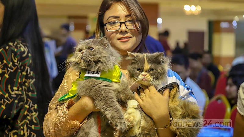A cat lover brings her cats after slipping the felines into a jersey inspired by the Argentine football team at the Cat Ramp Show in Dhaka’s Jamuna Future Park on Friday, Feb 24, 2023. Photo: Asif Mahmud Ove