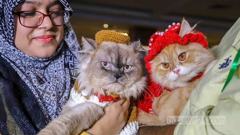 The Cat Ramp Show brings together the cat lovers of Dhaka to Jamuna Future Park on Friday, Feb 24, 2023. Photo: Asif Mahmud Ove