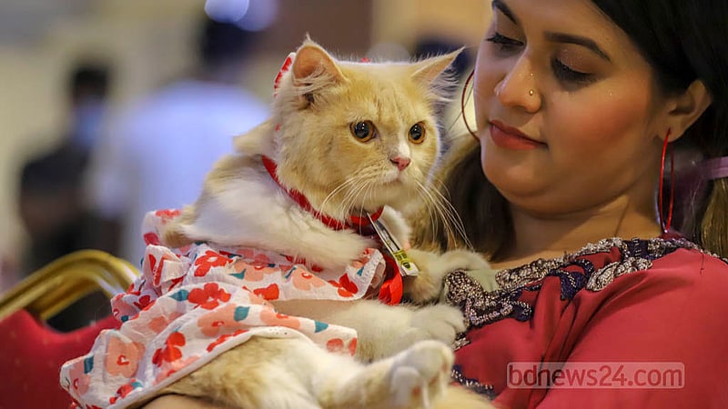 A woman brings her pet cat to the first Cat Ramp Show at Jamuna Future Park in Dhaka on Friday, Feb 24, 2023. Photo: Asif Mahmud Ove