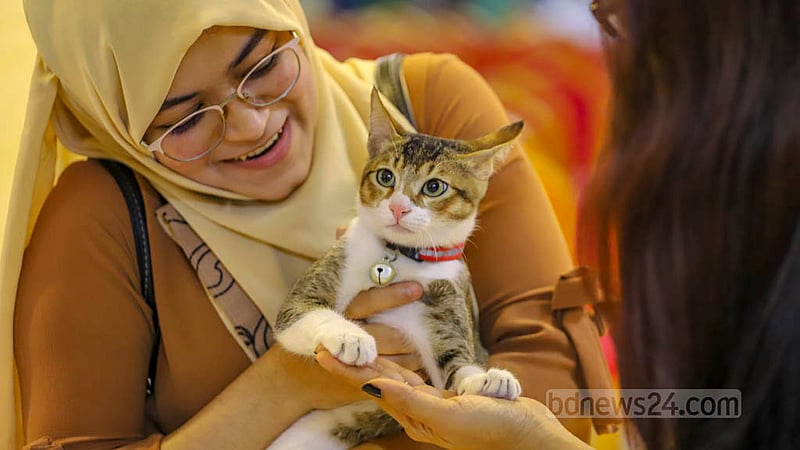 A cat lover brings her cat to the first Cat Ramp Show at Jamuna Future Park in Dhaka on Friday, Feb 24, 2023. Photo: Asif Mahmud Ove