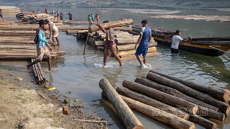 Wood transported along the Sangu River is carried to the depot at Bandarban’s Ujani Para pier. Photo: Asif Mahmud Ove