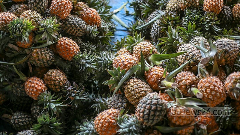 Pineapples are being sold in Hazaribagh at prices ranging from Tk 6 to Tk 40 per piece depending on the size of the fruits. Photo: Tawhiduzzaman Tapu