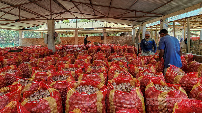After meeting local demand, the onions produced in Natore’s Nolldanga Upazila are sold in wholesale markets and transported to various parts of the country. Photo: Tariqul Hasan