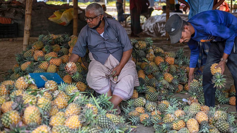 Sellers put pineapples up for sale according to size at the wholesale fruits market in Hazaribagh. Photo: Tawhiduzzaman Tapu