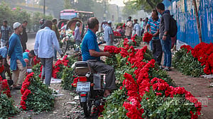 Morning fragrance at Shahbagh