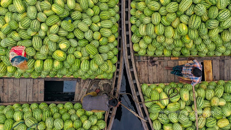 Watermelons are sold at a wholesale price of Tk 90 - 350 from the depot in Old Dhaka’s Wiseghat. Photo: Mostafigur Rahman