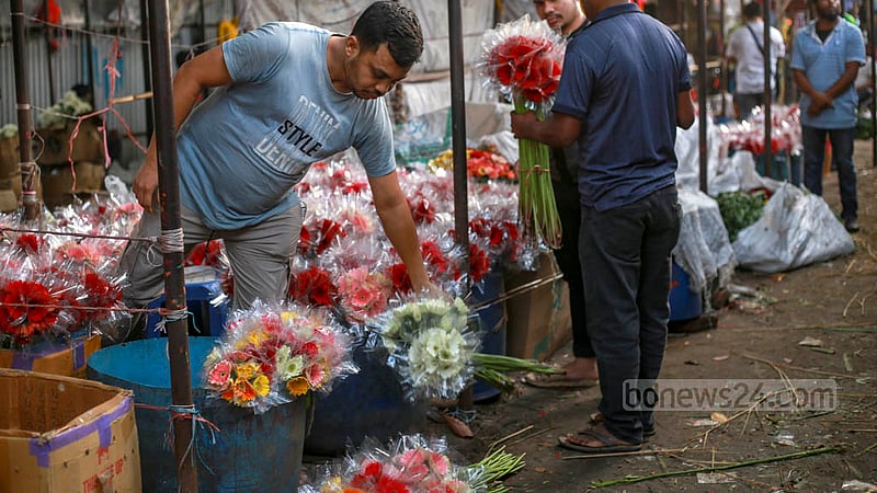 The exotic flower gerbera is now cultivated in Bangladesh. The price of 100 pieces of gerbera starts at Tk 500 in the wholesale flower market in Dhaka’s Shahbagh. Photo: Tawhiduzzaman Tapu