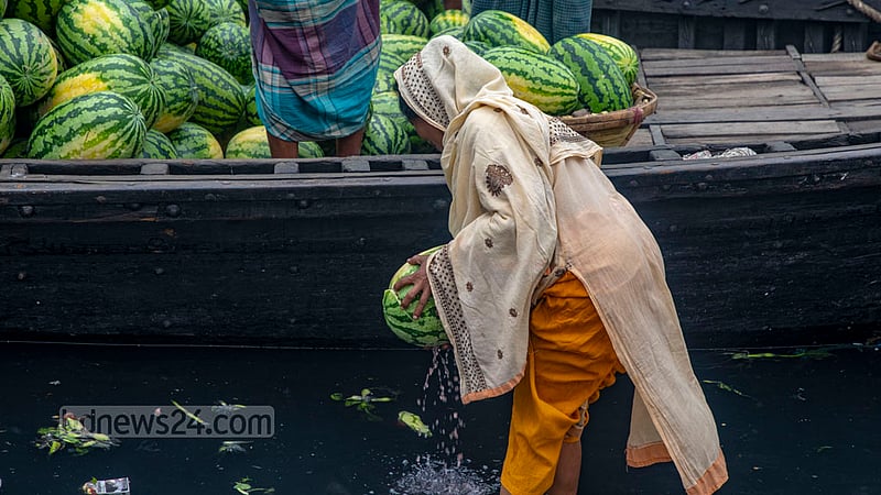 A woman from a low income household buys a watermelon farmers are trying to get rid of for cheap at Old Dhaka’s Wiseghat. Photo: Mostafigur Rahman
